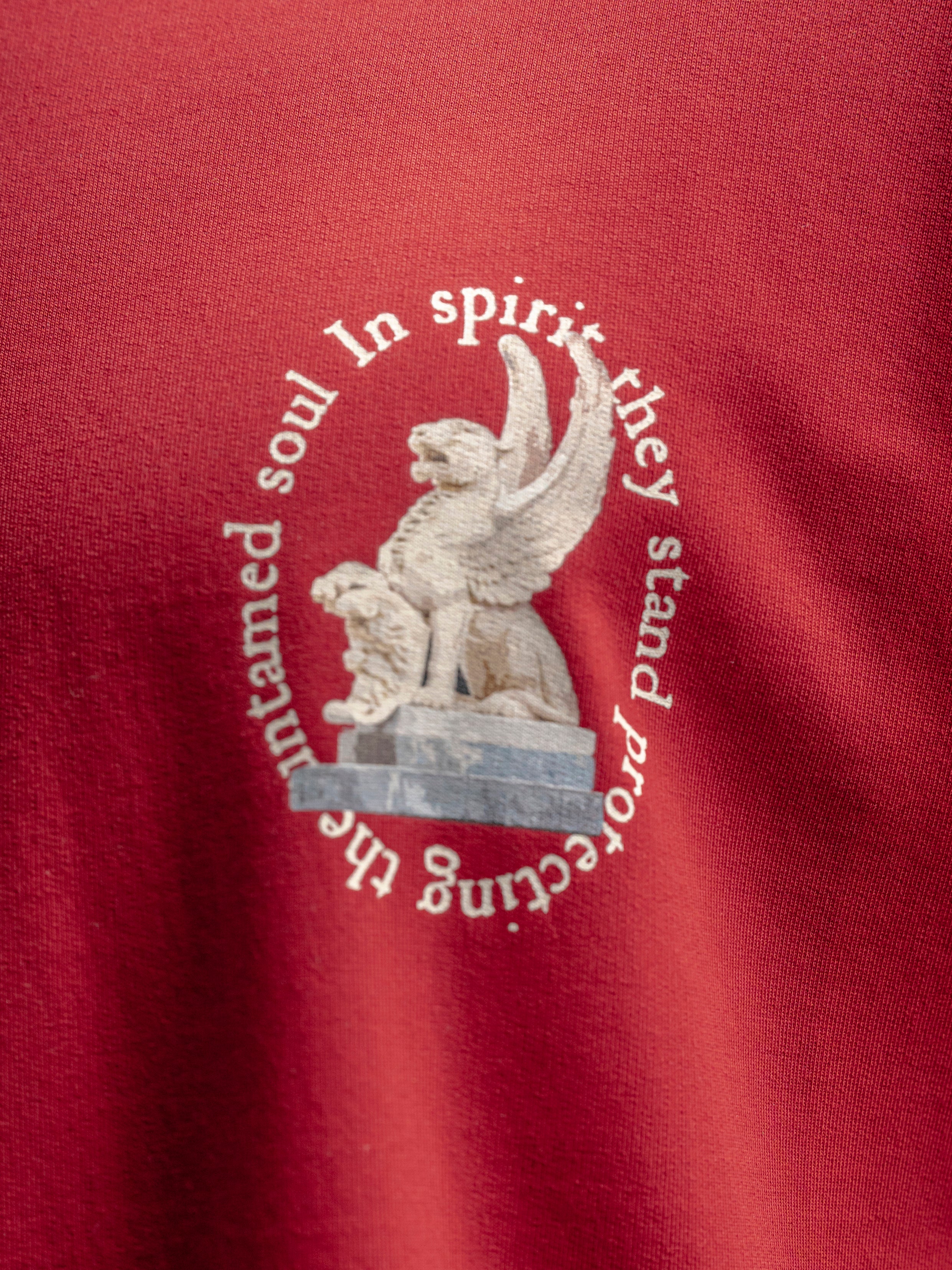 Graphic Supima Cotton T-Shirt
